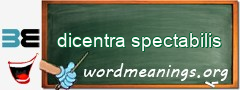 WordMeaning blackboard for dicentra spectabilis